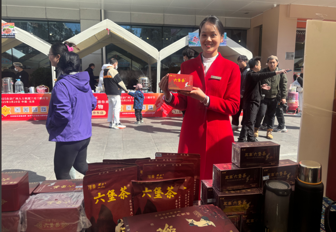 广西强寿六堡茶陈正六堡茶热情迎接八方宾客潮玩“三月三” 2025在京广西人士欢度三月三歌圩节
